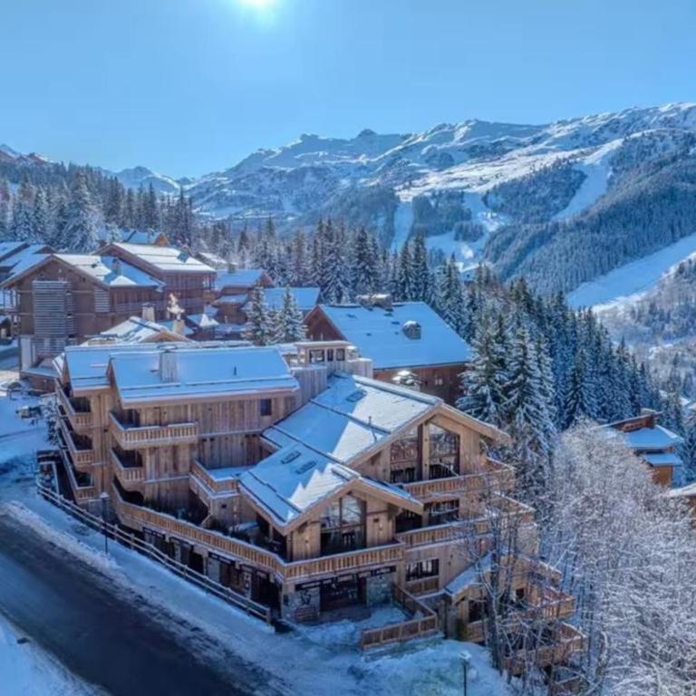 Fleur des Alpes ALPENGLOW - Appartement - 16
