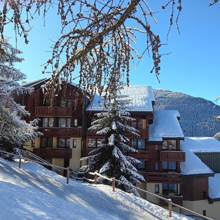 Studio 4 personnes à Vallandry, proche des pistes - FR-1-411-907 - Studio - 20