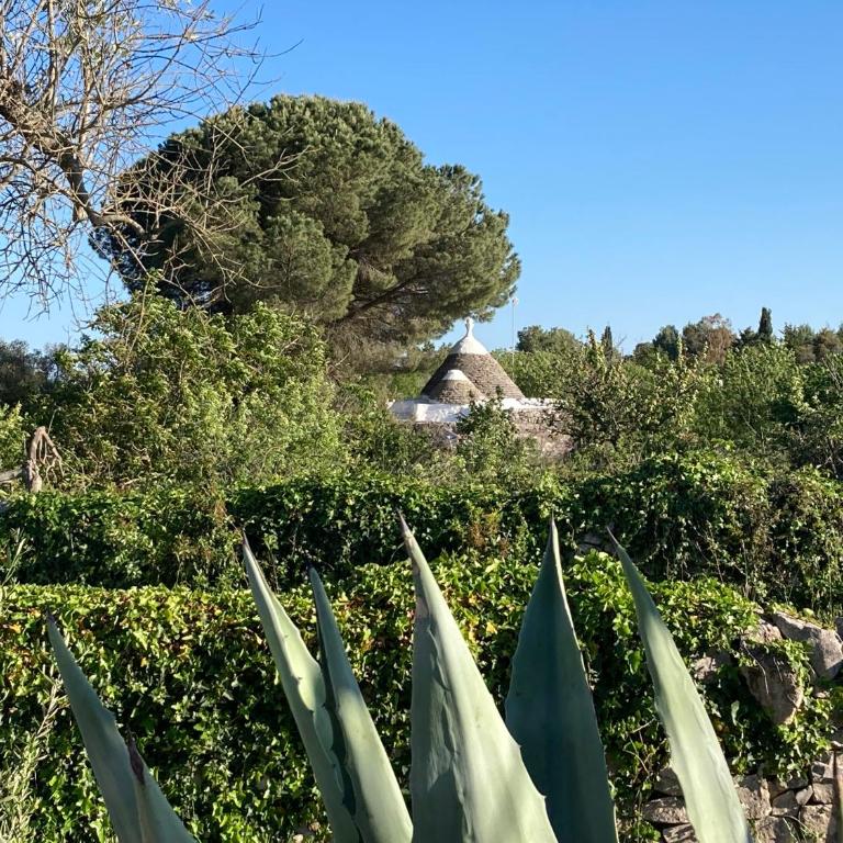 Villa Giulia - Villa con 3 Camere da Letto - 9
