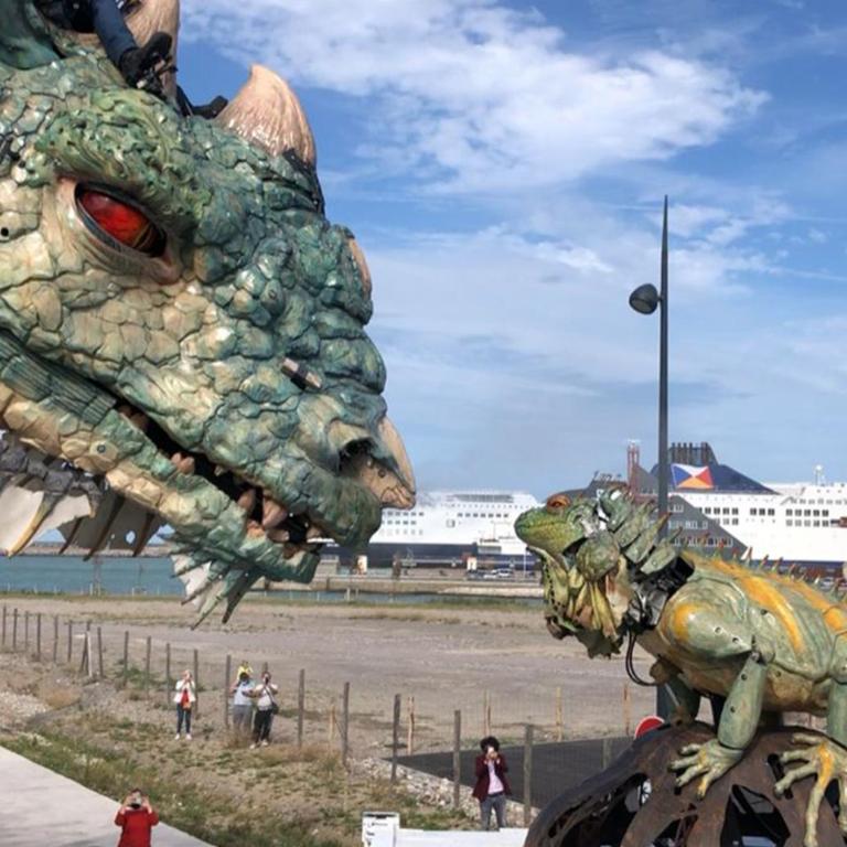 Studio plage, vue mer et dragon, garage pour moto - Appartement 1 Chambre - 26