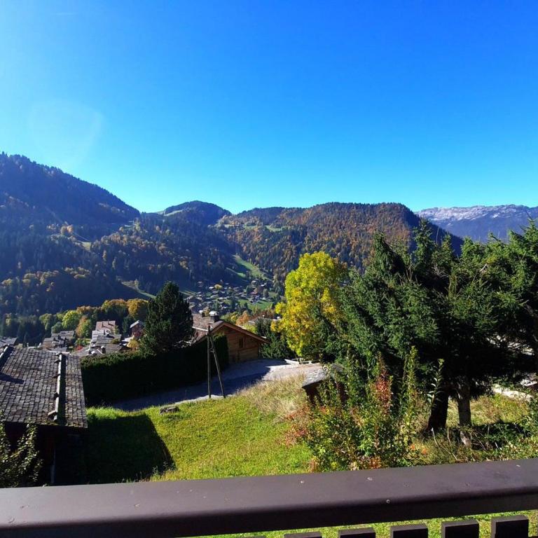 Appartement 4 pers. ski au pied avec parking - FR-1-459-111 - Studio - 9