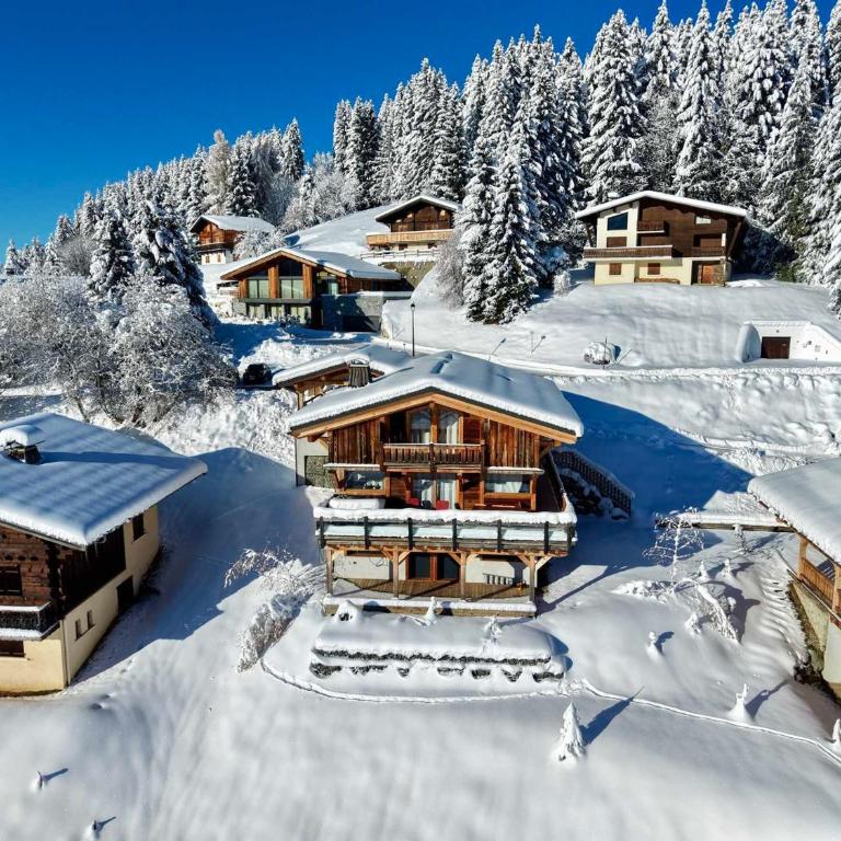 Chalet moderne avec jacuzzi et accès skis aux pieds - FR-1-505-199 - Chalet - 25