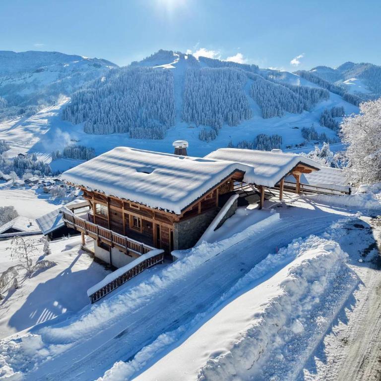 Chalet moderne avec jacuzzi et accès skis aux pieds - FR-1-505-199 - Chalet - 26