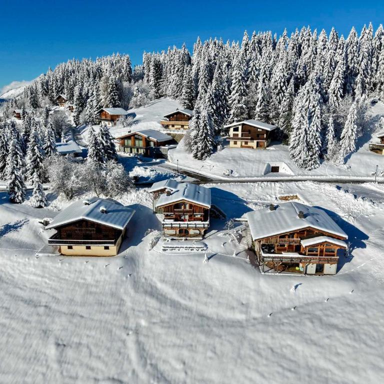 Chalet moderne avec jacuzzi et accès skis aux pieds - FR-1-505-199 - Chalet - 27