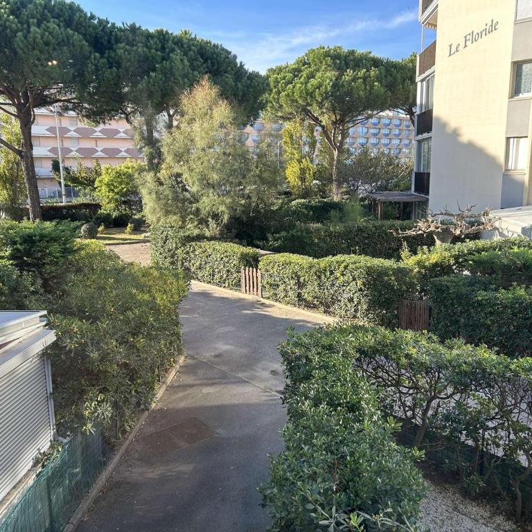 Appt confortable 4 pers avec terrasse et parking, proche Seaquarium - FR-1-250-294 - Appartamento - 13