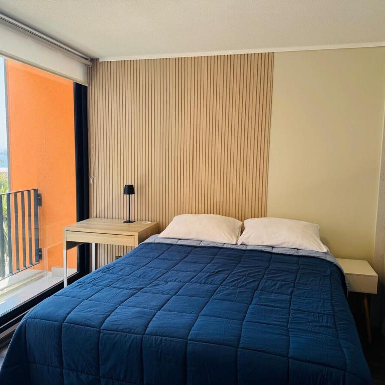 Studio Frente Al Muelle Barón - One-Bedroom Apartment - 11