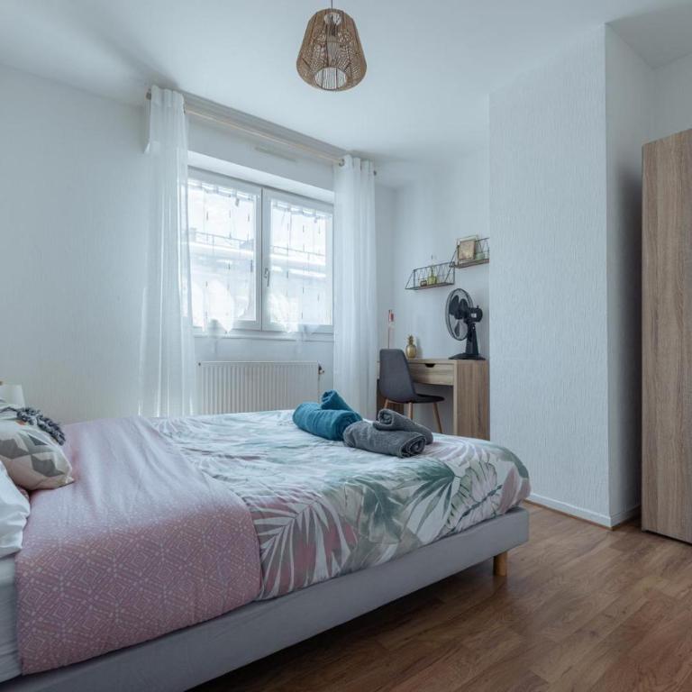 Le Stanislas 61 - Spacieux & Cosy - Appartement - 18