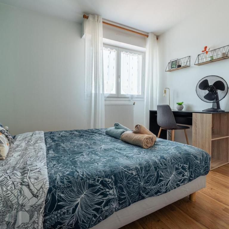Le Stanislas 61 - Spacieux & Cosy - Appartement - 17