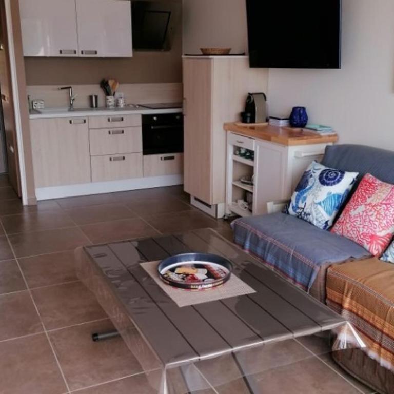 Studio refait avec piscine et clim, proche plage et commerces - FR-1-731-81 - Studio - 10