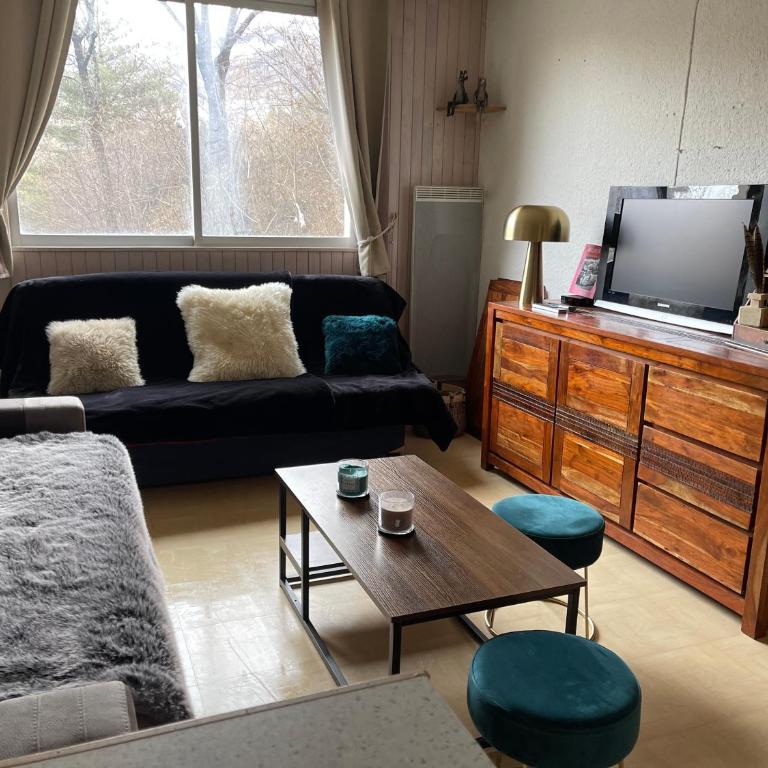 Studio au pied des pistes - Appartement 1 Chambre - 3