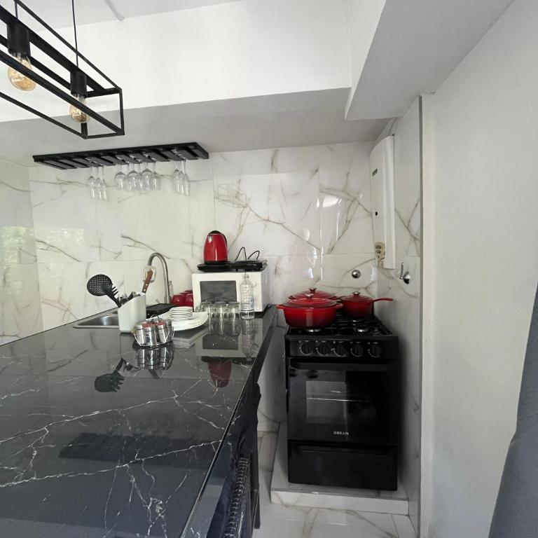 Vicco - One-Bedroom Apartment - 1