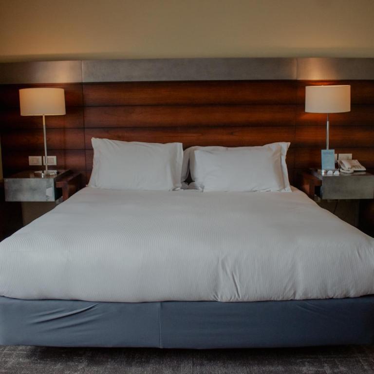 Radisson Hotel Puerto Varas - Premium King Room with View - Non-Smoking - 4