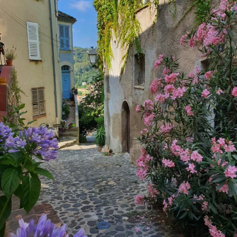 La Bulle, Spa Authentique et Romantique - Appartement 1 Chambre - 5