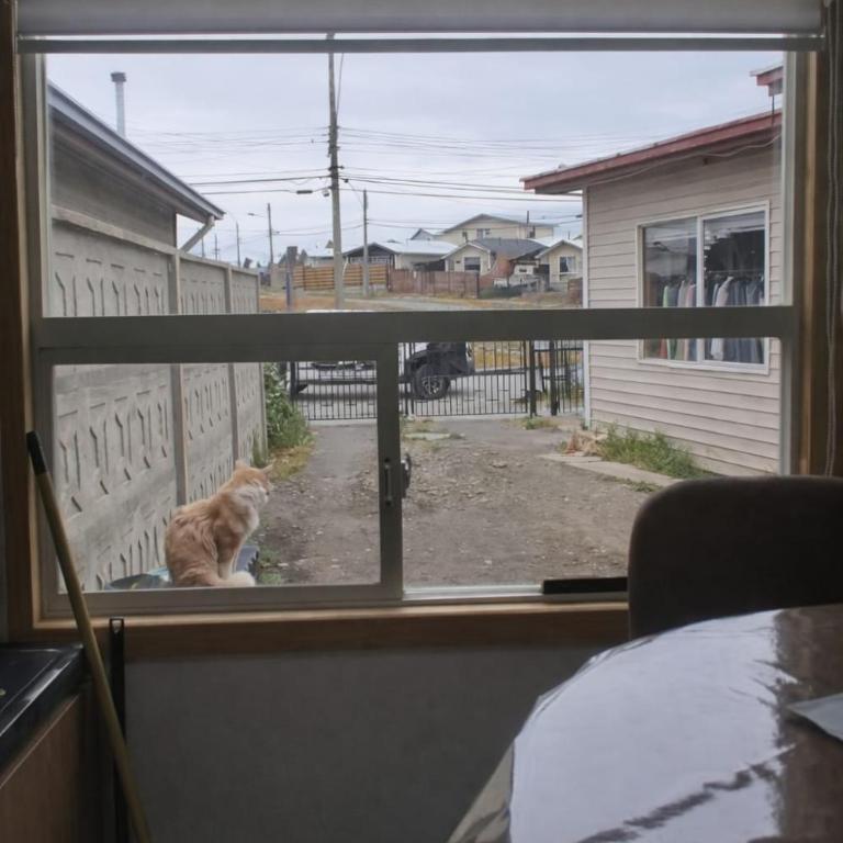 Red cat house - One-Bedroom Apartment - 9