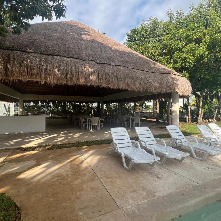 Paraíso Liverte 203 - Apartamento de 2 dormitorios - 11