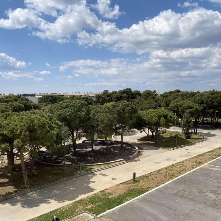 T1 avec balcon, clim, wifi, animaux OK à Balaruc-les-Bains - FR-1-553-199 - Apartment - 12