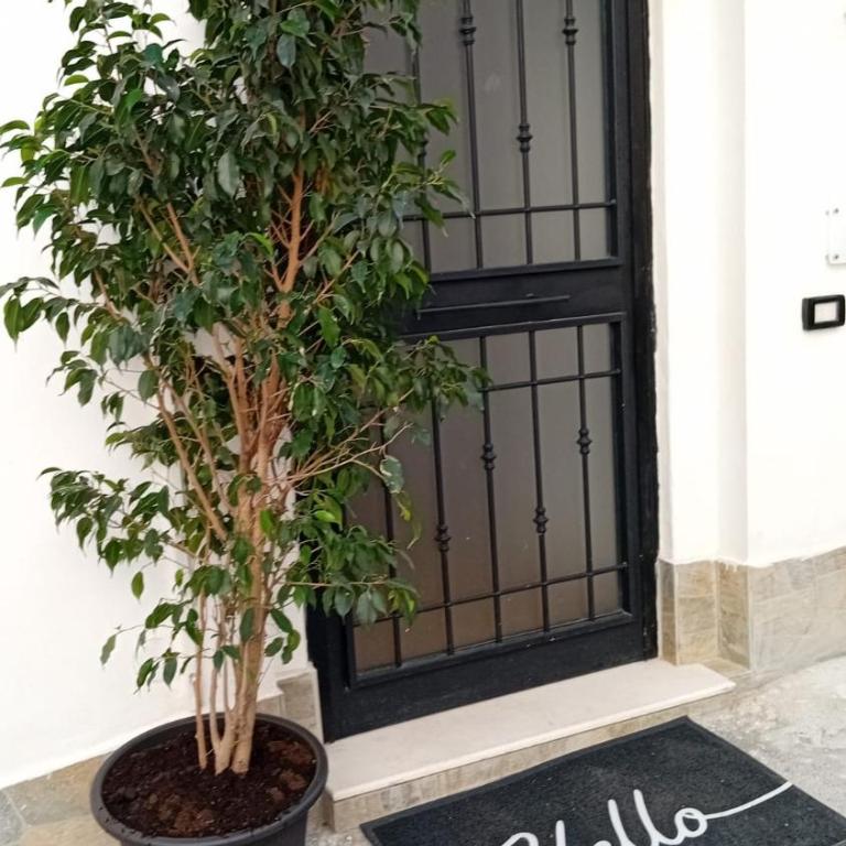 Palermo Home Cattedrale-Moderno Monolocale - Appartamento con 1 Camera da Letto - 11