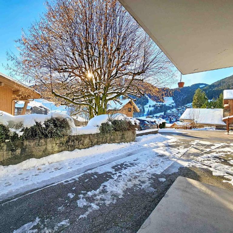 Appartement 4 pers à La Clusaz avec terrasse et animaux admis - Appartement 1 Chambre - 12