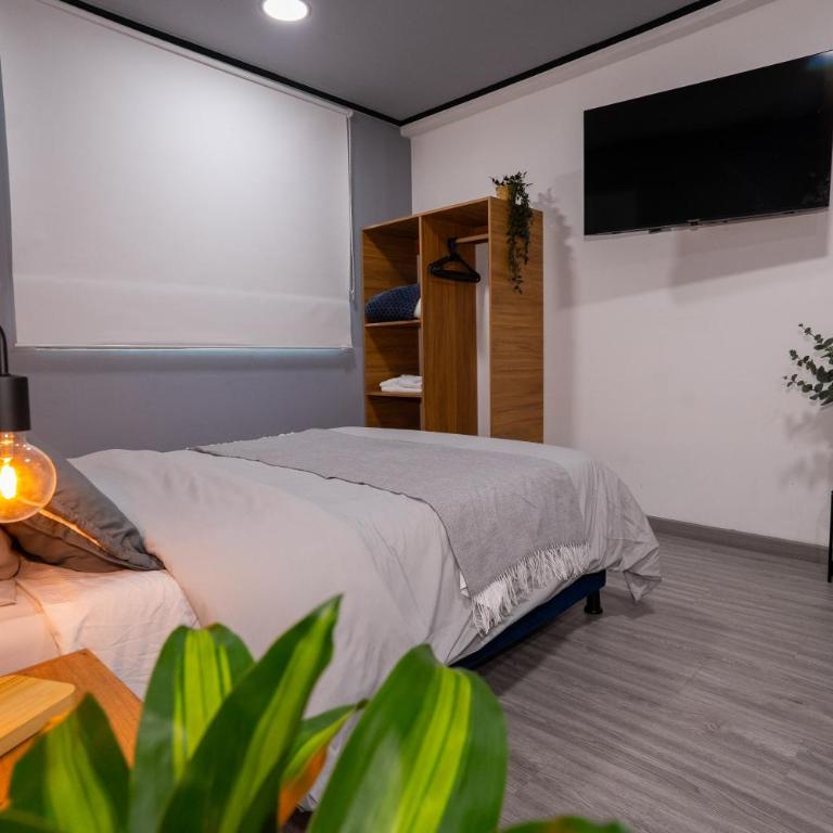 Ktaleya Apartaestudios Boutique - One-Bedroom Apartment - 2