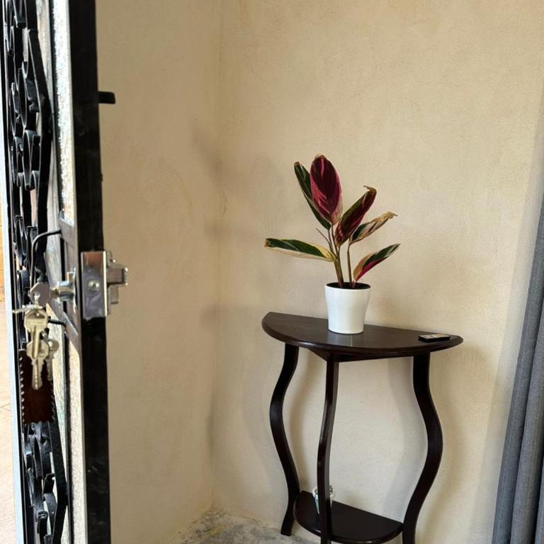 Casita de Tía Eli- A 10 minutos del Aeropuerto - One-Bedroom Apartment - 15