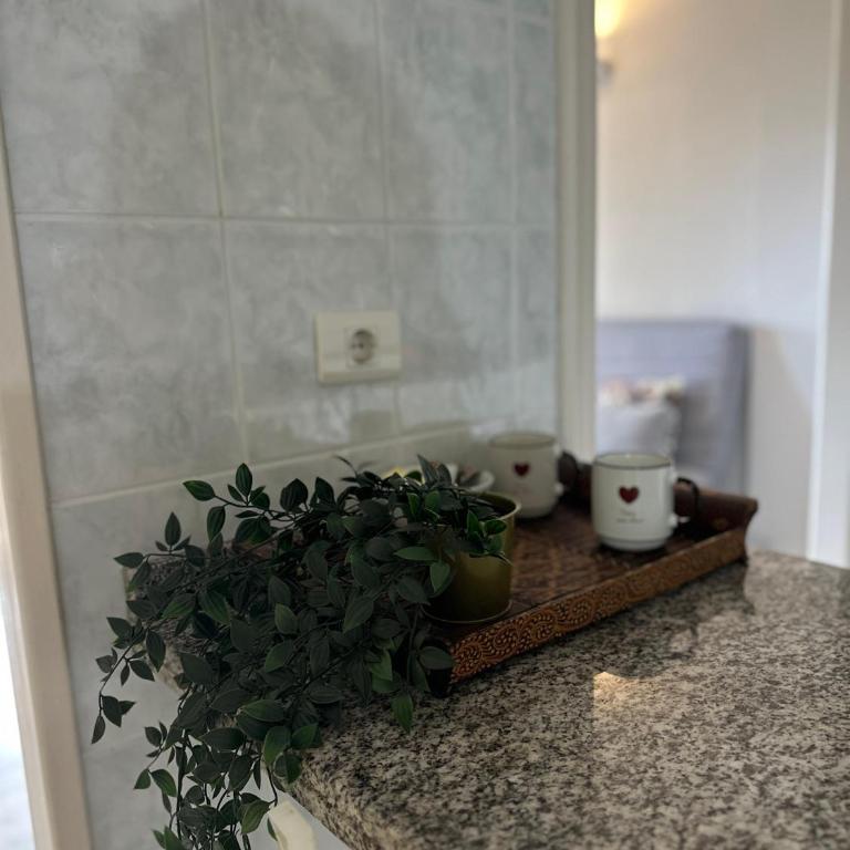Heated Poolside Paradise Los Cristianos - Apartamento - 18