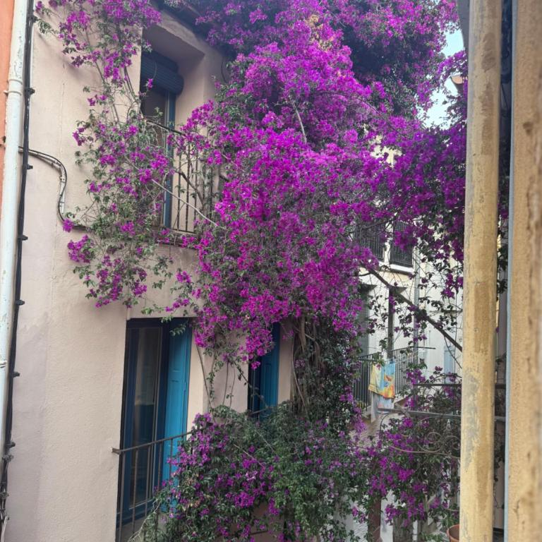 Casa Jueliatte - Maison 2 Chambres - 2