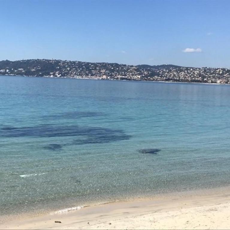 Appartement 2P avec terrasses, parking privé, à 100m des plages - Juan-les-Pins - FR-1-252-196 - Apartment - 18