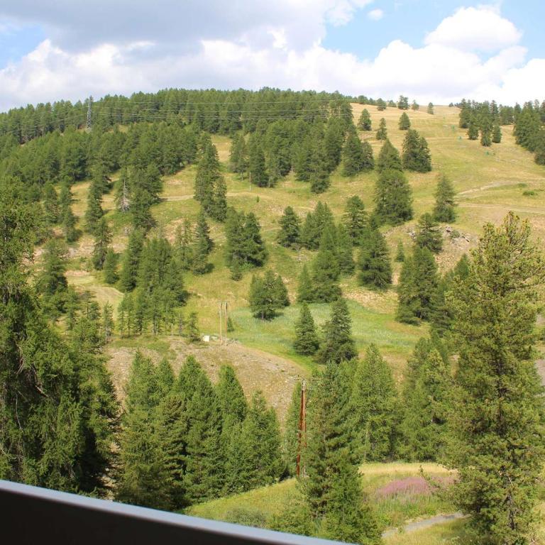 Studio Vars Les Claux, balcon, parking, 200m des pistes - FR-1-330B-197 - Appartamento - 15