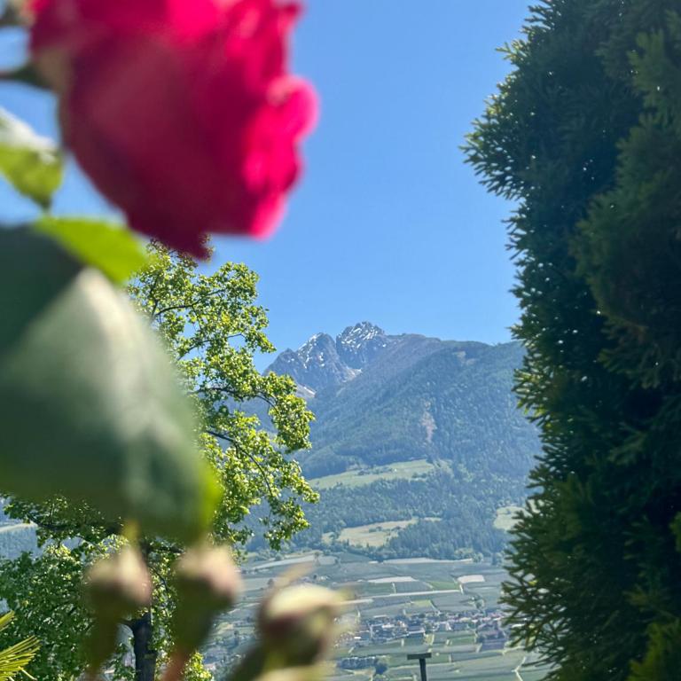 Villa Residence Franziskus - Apartamento de 1 dormitorio - 52