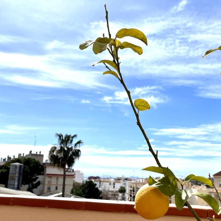 Precioso apartamento A, grandes terrazas, piscinas - Apartamento de 2 dormitorios - 1