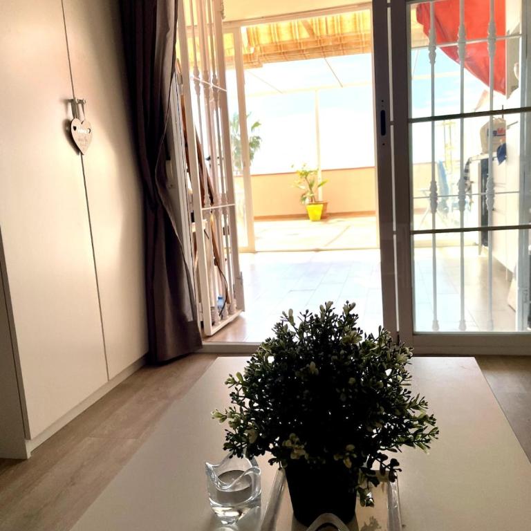 Precioso apartamento A, grandes terrazas, piscinas - Apartamento de 2 dormitorios - 17