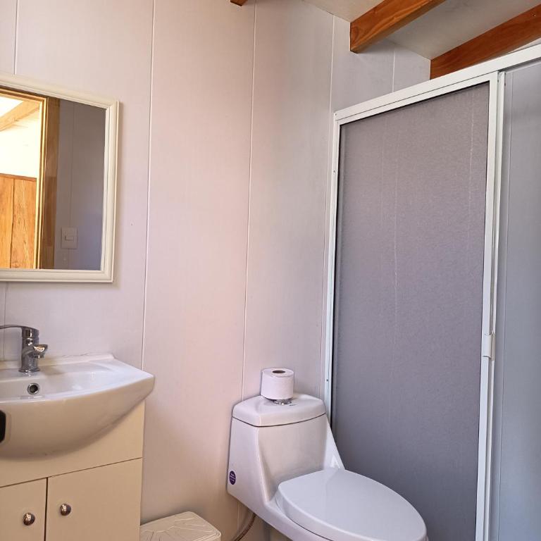 Cabañas Flores de Coñaripe - One-Bedroom House - 3