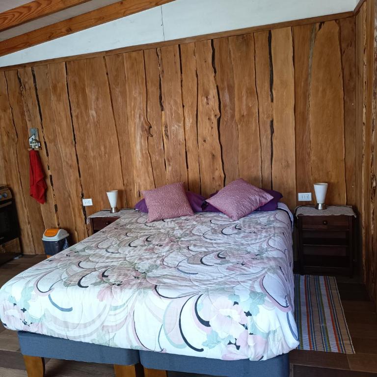 Cabañas Flores de Coñaripe - One-Bedroom House - 5
