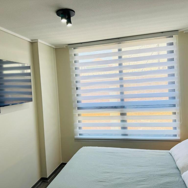 Muelle Barón - Terminal de Buses - One-Bedroom Apartment - 13