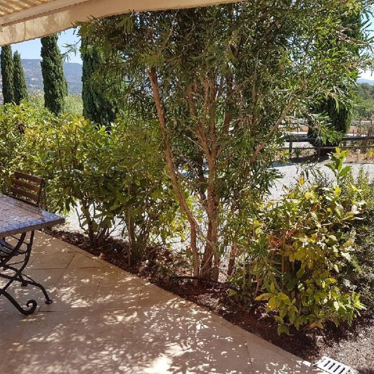 Villa des Cyprés - Appartement - Vue sur Jardin - 2