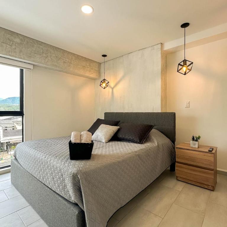 Apartamento lujoso en la mejor zona de Pereira! - One-Bedroom Apartment - 24