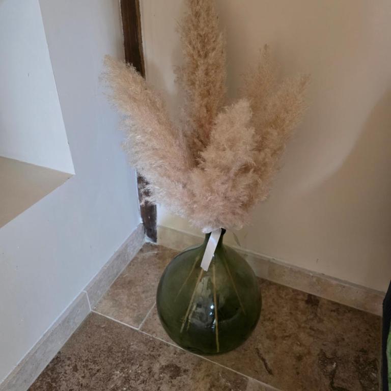 Domaine de la Tapie de Bouchet - en Camargue - Villa 1 Chambre - 16