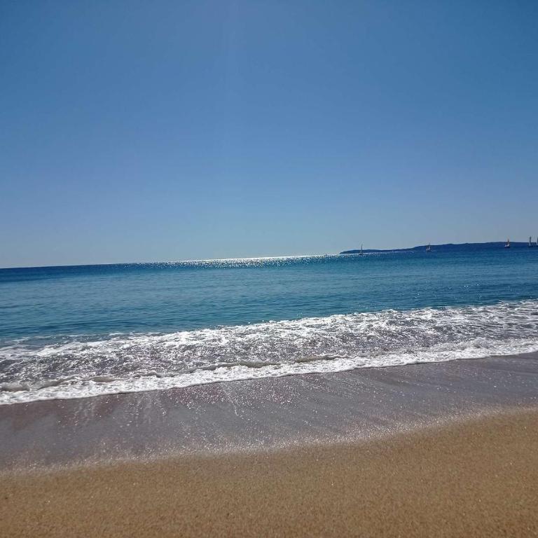 Studio Cabine - Accès Plage - Ascenseur - Parking - FR-1-308-207 - Monolocale - 15
