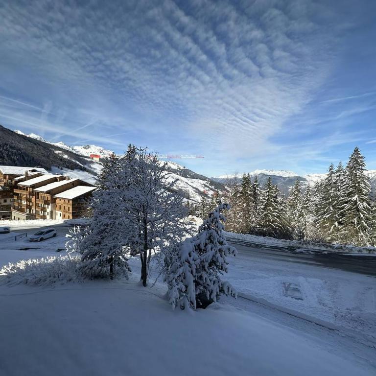 Studio cosy à 80m des remontées et 100m des commerces à Valmorel - FR-1-356-198 - Estudio - 14