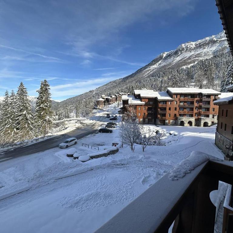 Studio cosy à 80m des remontées et 100m des commerces à Valmorel - FR-1-356-198 - Estudio - 16