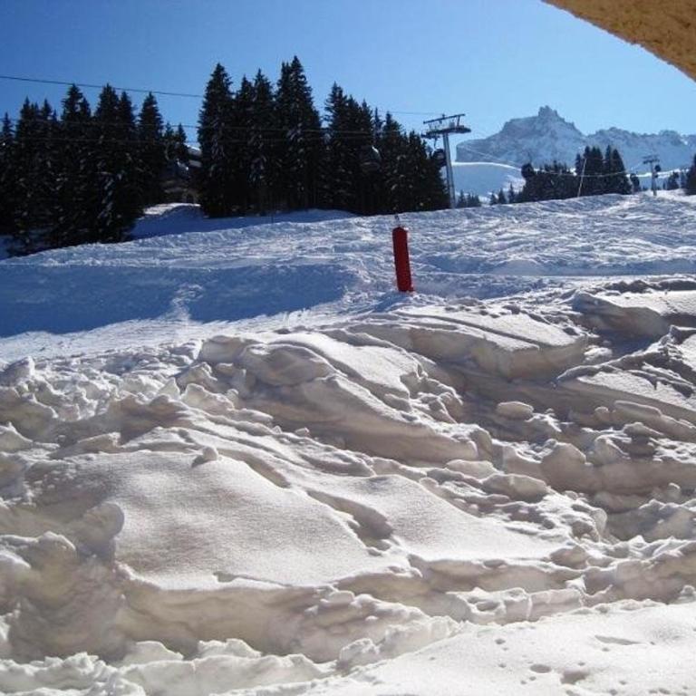 Valmorel, 2 pièces au pied des pistes avec terrasse, cuisine équipée et animaux admis - FR-1-356-318 - Appartement (5 Adultes) - 15