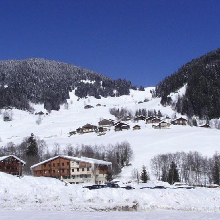 Appartement cosy 4 pers, skis aux pieds, balcon, parking, 2 étoiles - Location dim. à dim. en hiver - Appartement 1 Chambre - 14