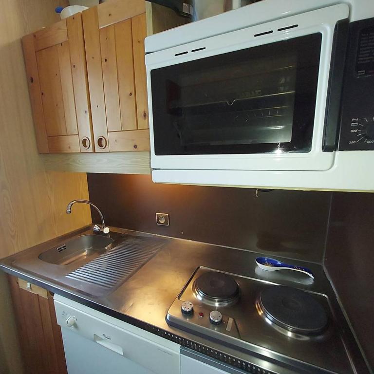 Appartement 2P au pied des pistes, animaux admis - FR-1-356-523 - Appartement - 13