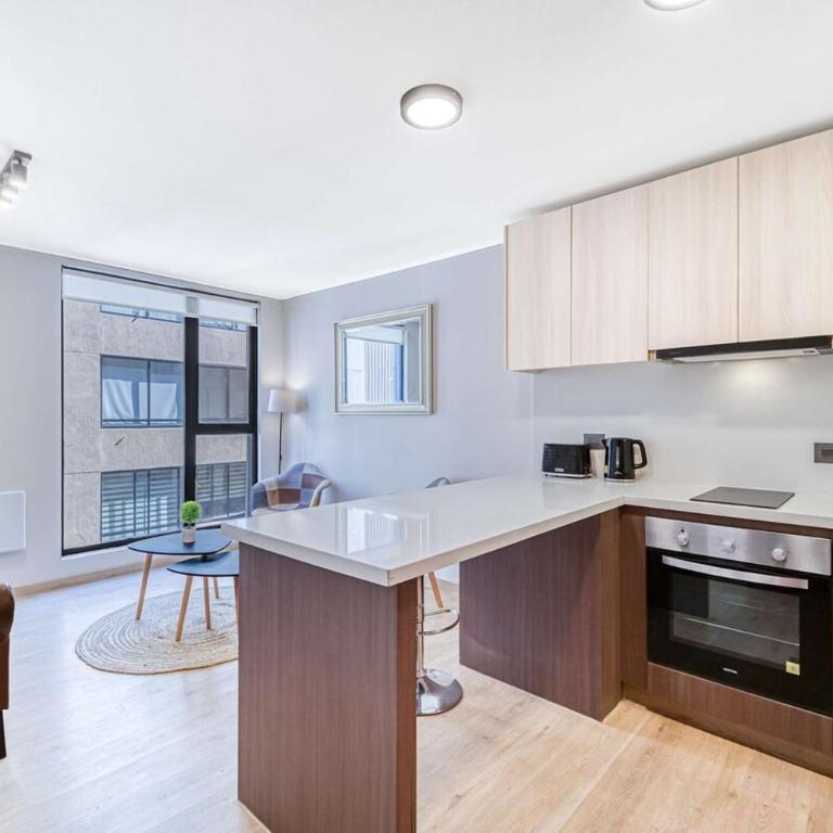 Urban Providencia - Two-Bedroom Apartment - 8