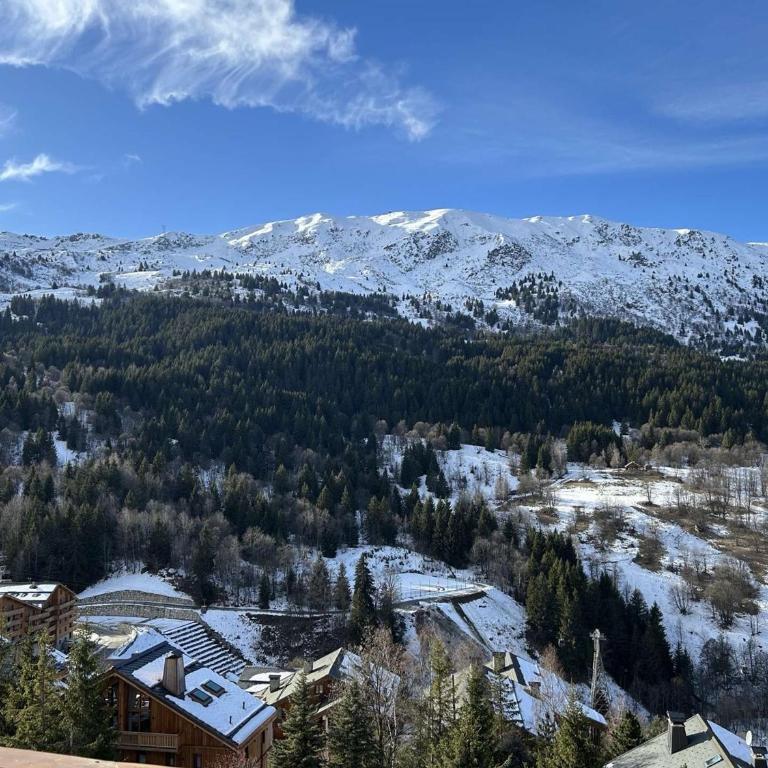 Appartement 3 pièces, 6 pers, proche pistes, parking - FR-1-180-365 - Appartement (6 Adultes) - 25