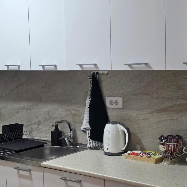 Vision apartmani Vrnjačka Banja - Studio sa Terasom - 6