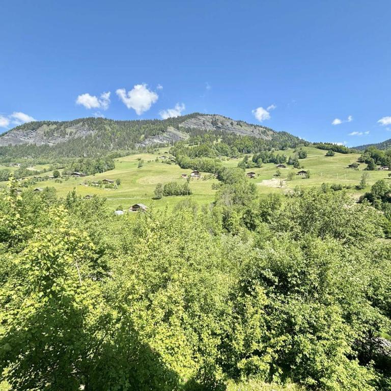 Charmant T2 à Flumet, piscine et parking, 4 pers. - Apartamento de 1 dormitorio - 18