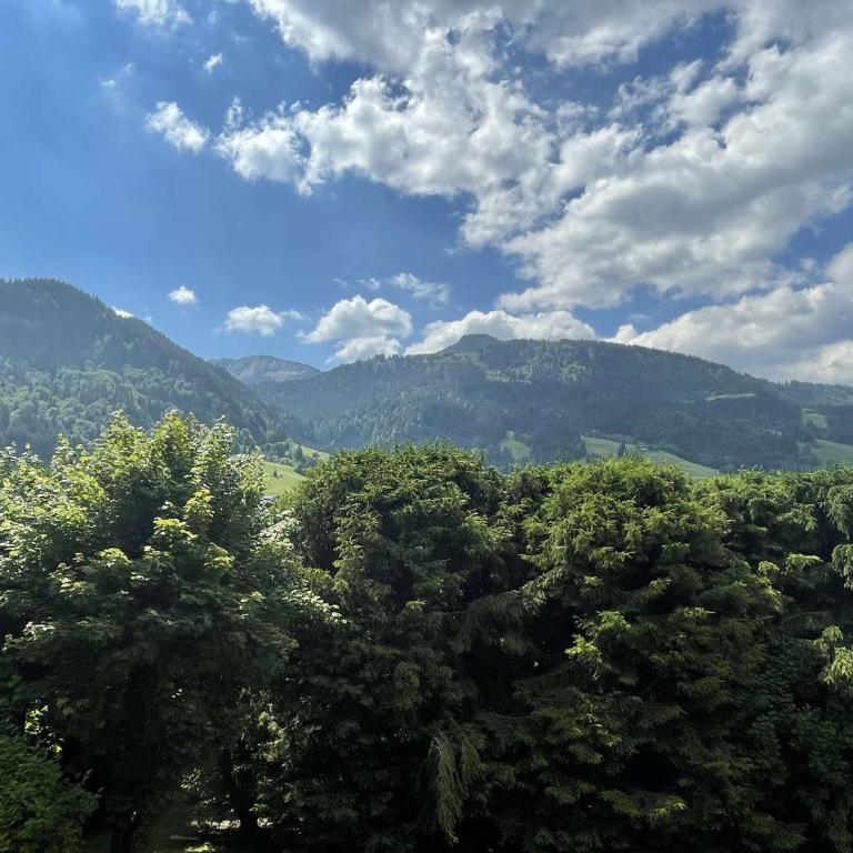 Charmant studio à Praz-Sur-Arly pour 5 pers. proche ski et lac, parking et casier à ski inclus - Appartement 1 Chambre - 17