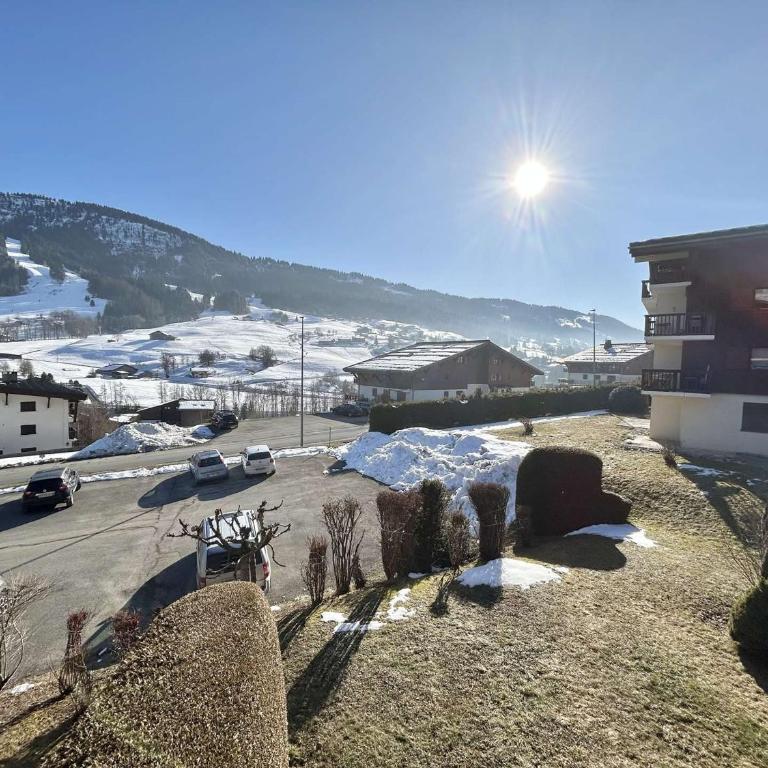 Appartement 2 pièces avec coin montagne à Praz-Sur-Arly - 6 personnes - FR-1-603-126 - Appartement - 23