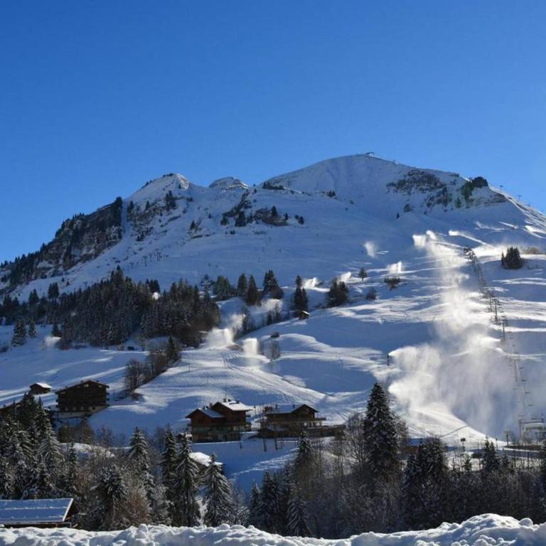 Appartement ensoleillé 2 étoiles, 6 couchages, proche pistes, balcon sud, navette ski - FR-1-241-94 - Apartment (6 Erwachsene) - 18